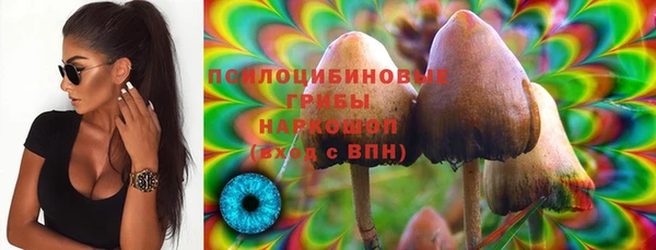 прущий лед Алзамай