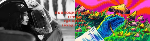 синтетический гашиш Алексеевка