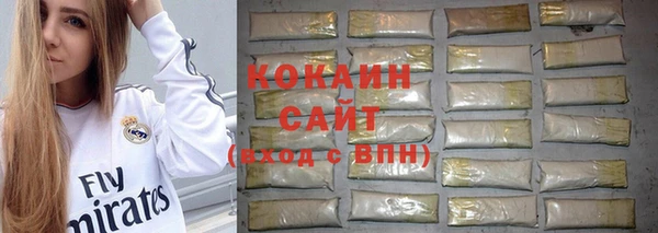 кокс Алексин