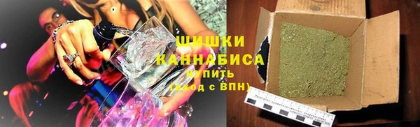 прущий лед Алзамай