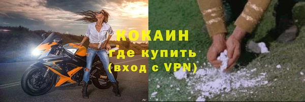 кокс Алексин