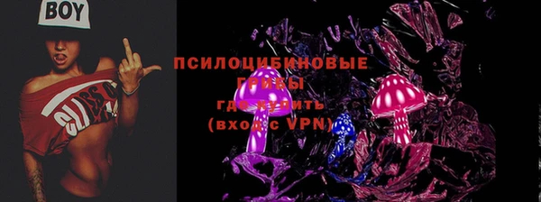 гашик Абинск