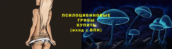 прущий лед Алзамай