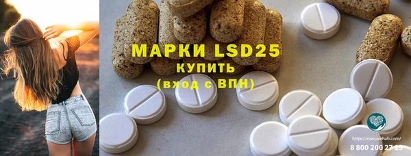 прущий лед Алзамай