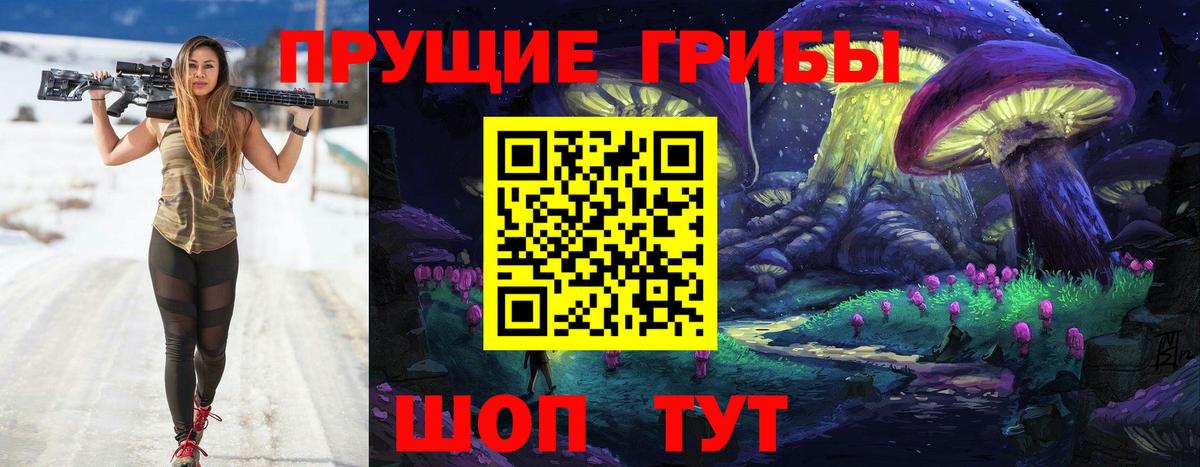 Псилоцибиновые грибы GOLDEN TEACHER Избербаш