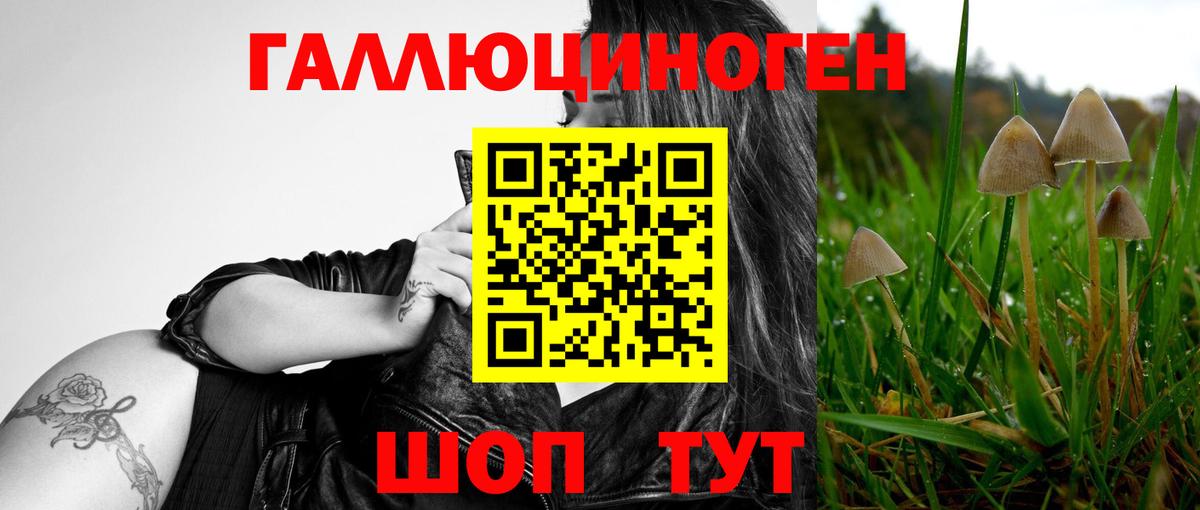 Галлюциногенные грибы GOLDEN TEACHER  Вход с VPN  Псилоцибиновые грибы Psilocybine cubensis  Избербаш 
